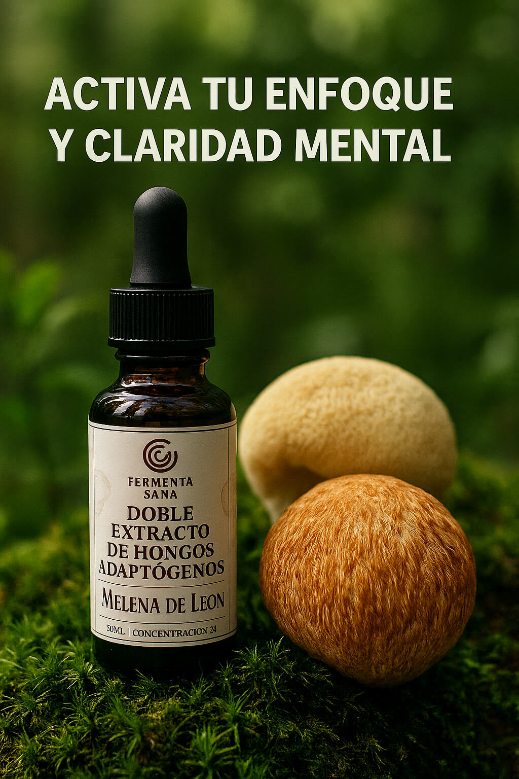 Reino Fungi Gotas™ Melena de León - Ultra Concentrado 3:1