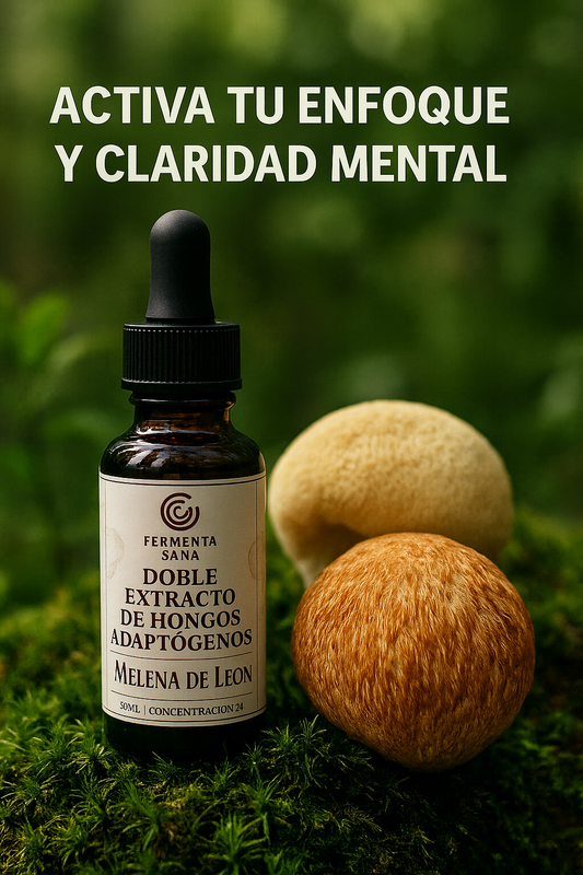 Reino Fungi Gotas™ Melena de León - Ultra Concentrado 3:1