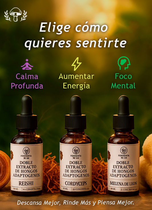 Hongos Adaptógenos™ Reishi, Cordyceps, Melena de León